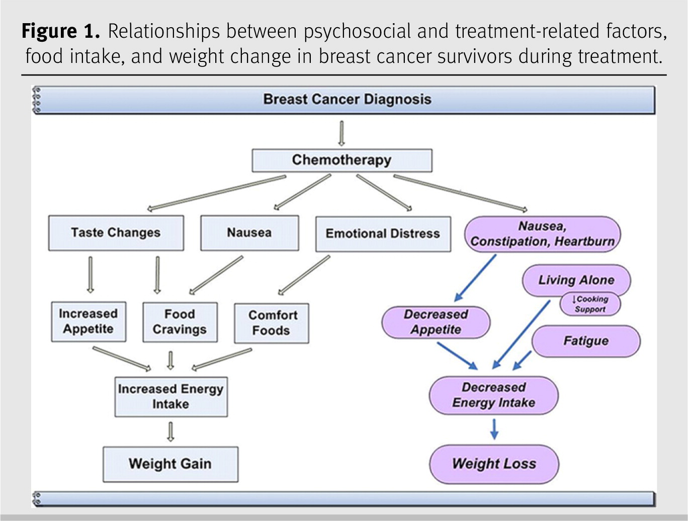 The Voice Of Experience Diet And Weight Change In Women With Breast Cancer Associate With Psychosocial And Treatment Related Challenges